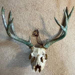 Dear Skull Blue Patina painted